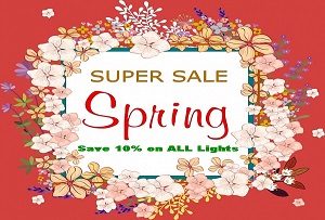 Spring Sale 10% Off Blog Post Image